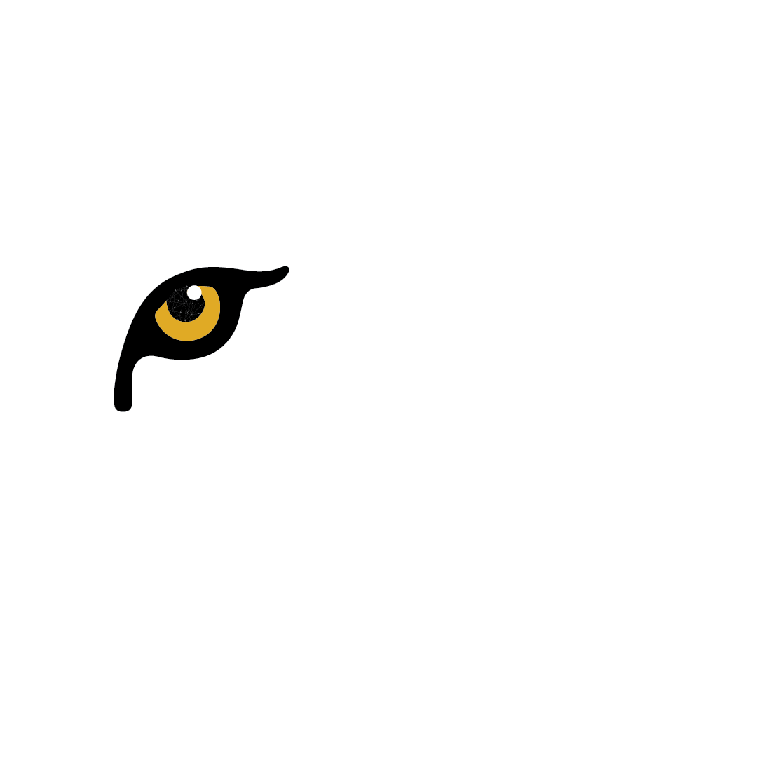 Leopard Leads IT Solutions